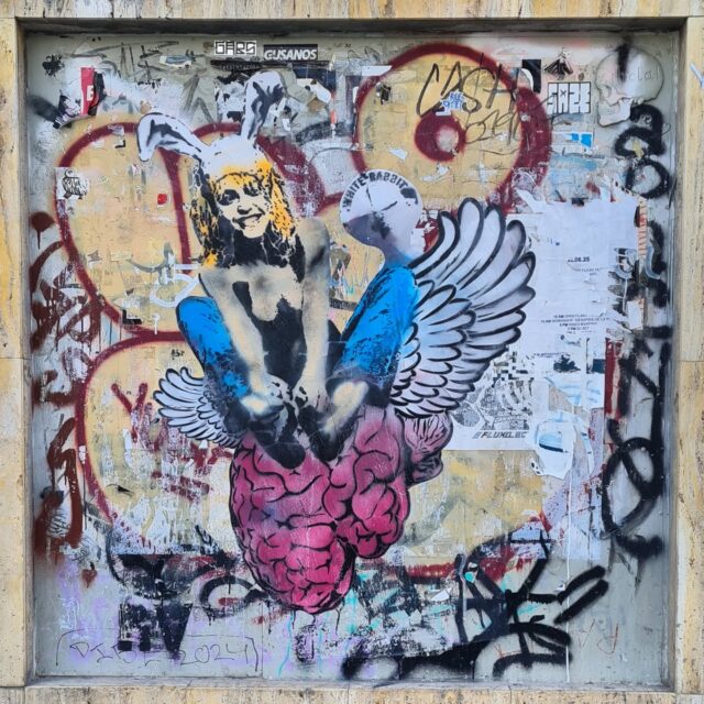 Flying High
2025
Poblenou
#art #artlife #graffitilife #street #gallery #brain #nowar #artist #stencilpainting #rabbitgirl #bunnygirl #revolution #escape #poblenou #barcelonastreetart #graffiti #pasteup #posterart #nostopdreaming #wings #barcelonapasteup #cervelliinfuga #picoftheday #cerebro #graffitilife #brainescape #streetart #arte #bcnstreetart #streetlife #estilodevida